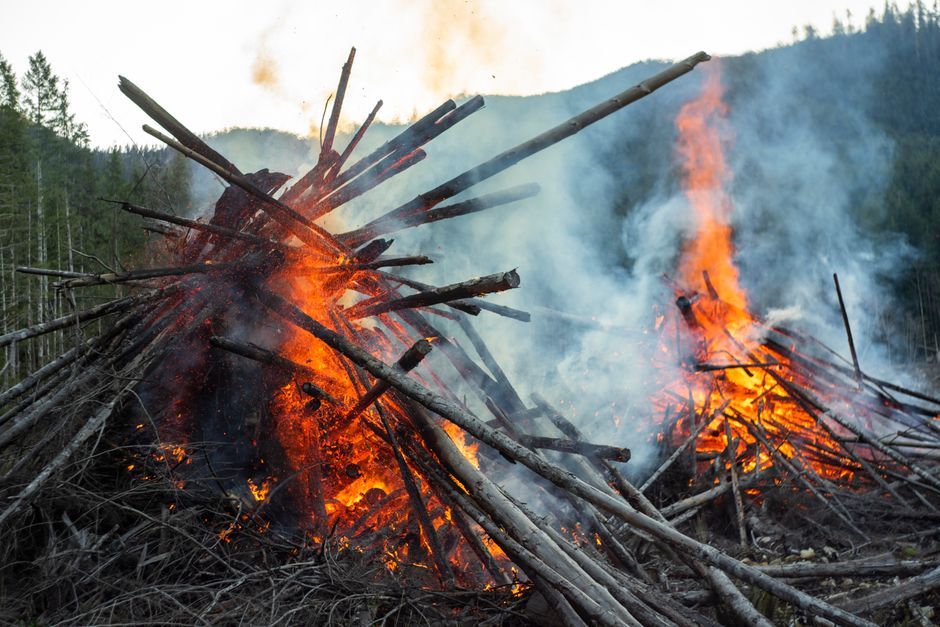 Canada British Columbia forest wildfire damage