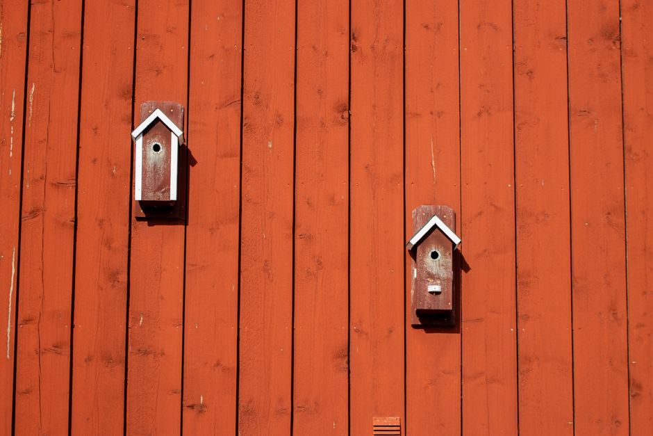 Sweden forest hotel birdhouses architecture
