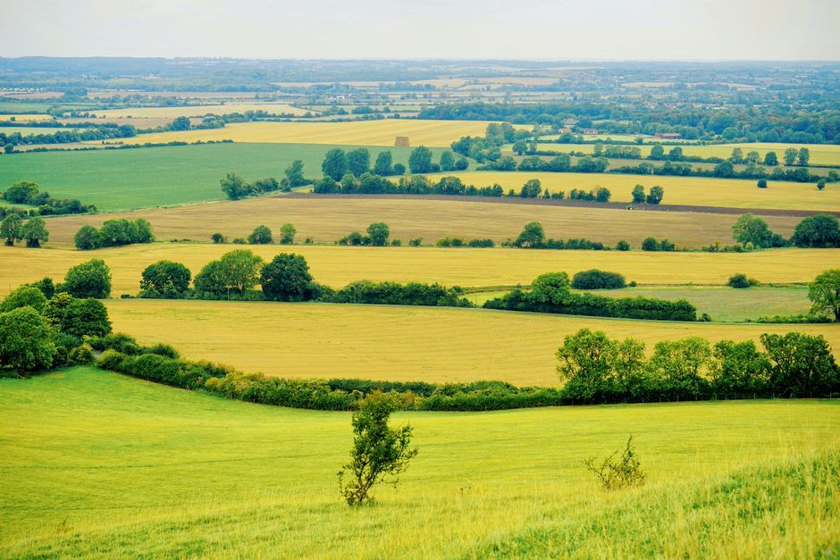 United Kingdom countryside landscape sunny day