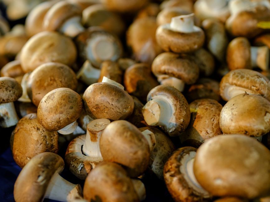 fresh mushrooms vegetables Thailand food market