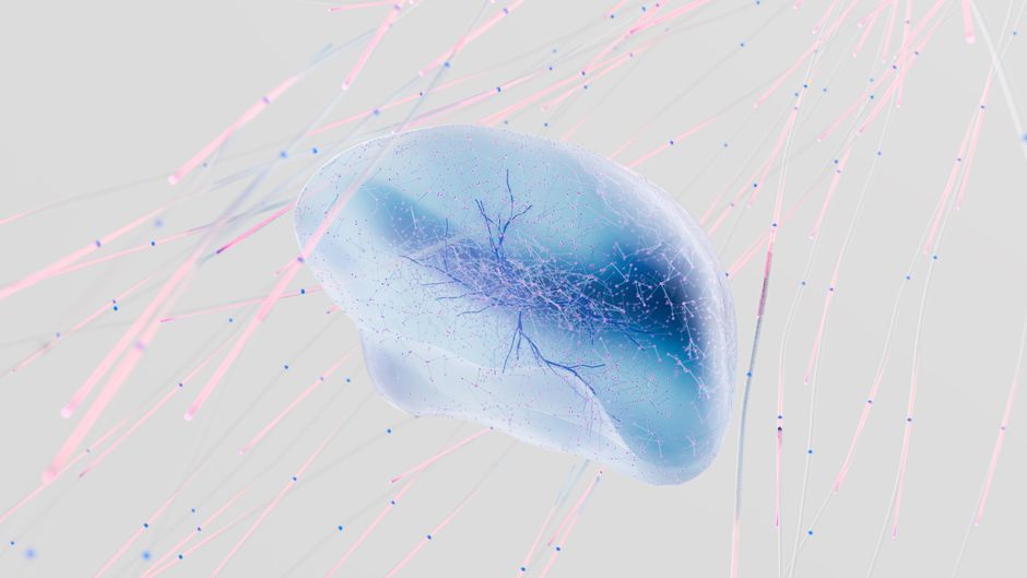 brain neuron microscopic science