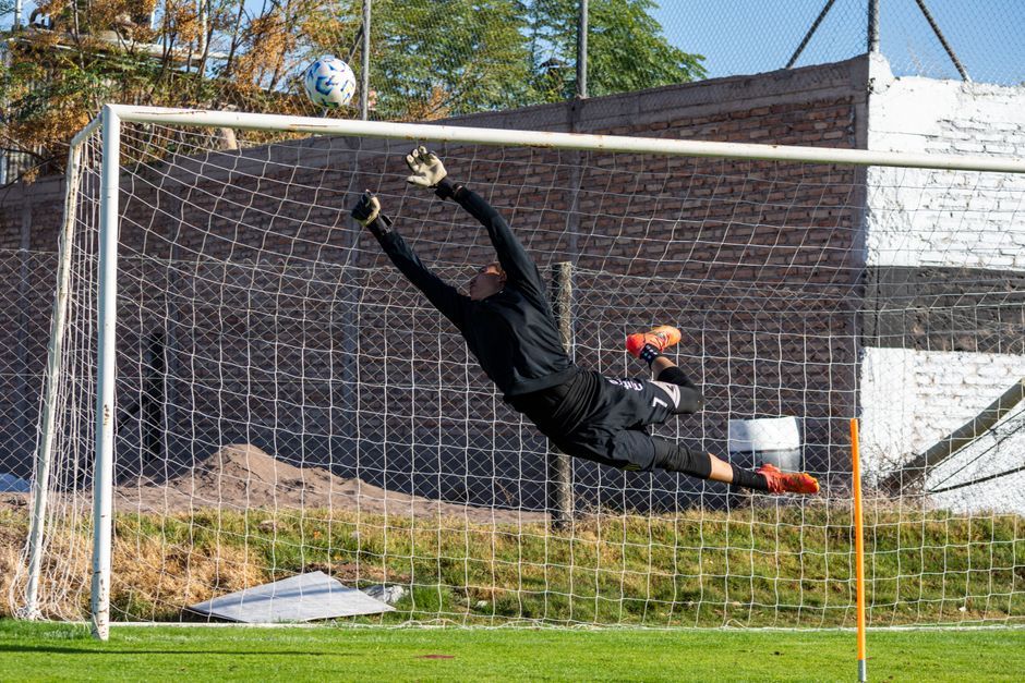 professional football goalkeeper action shot