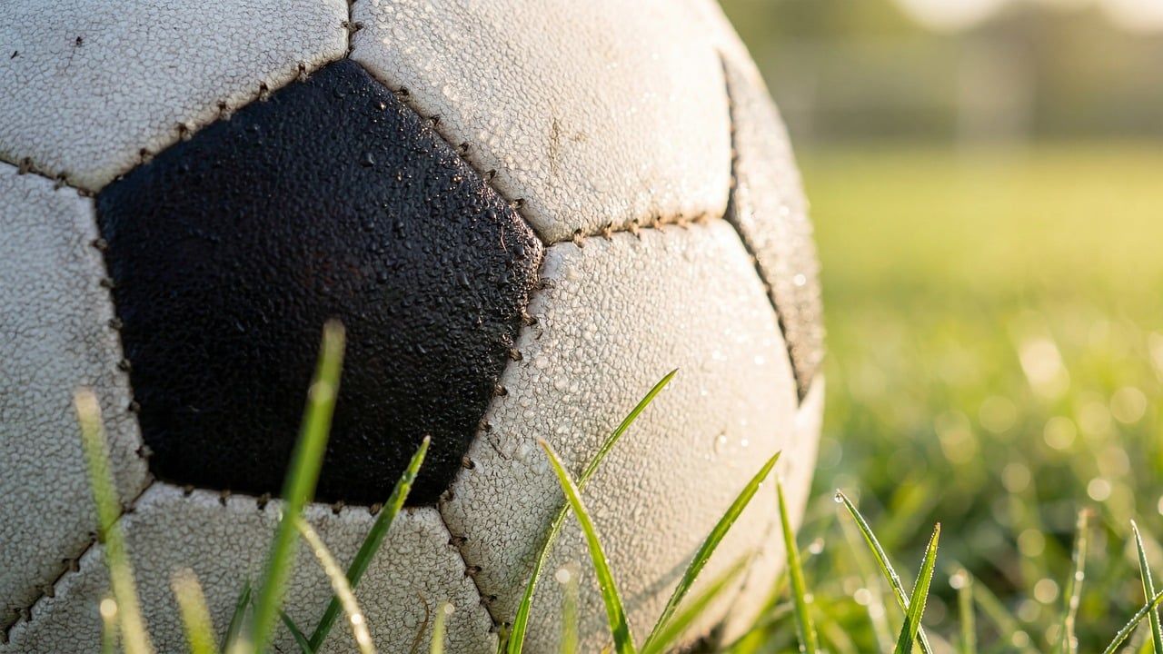 soccer ball grass field close up