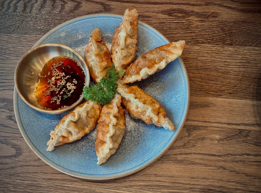 Japanese gyoza dumplings plate table