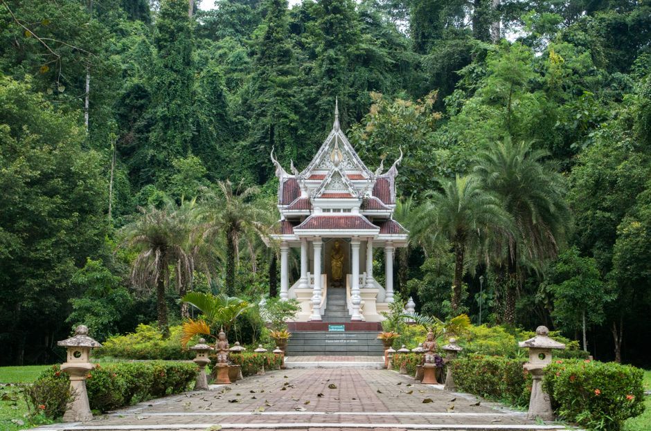 Thai temple forest cemetery trees atmosphere