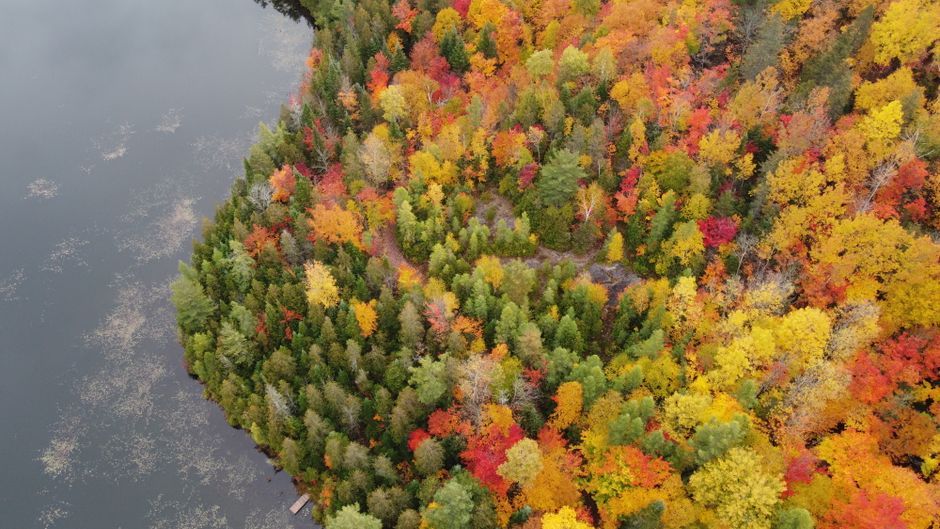 Canada lake water forest aerial view