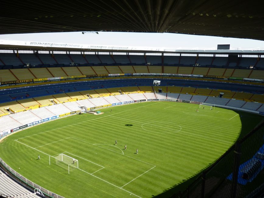 soccer stadium grass pitch no team crest