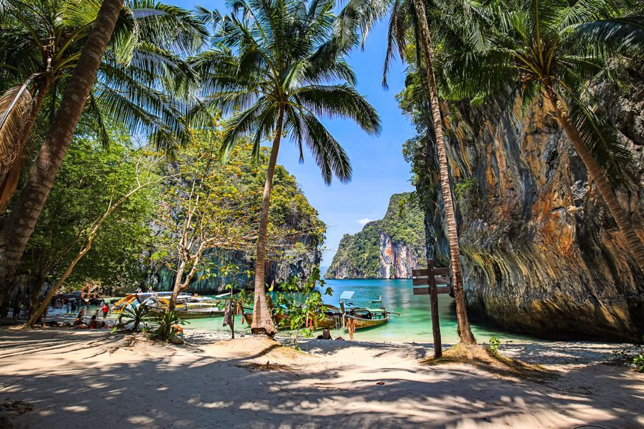 Thailand coastal beach holiday palm trees
