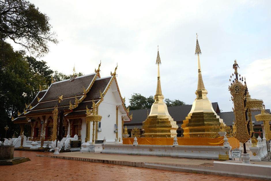 Thai temple forest ground nature outdoor