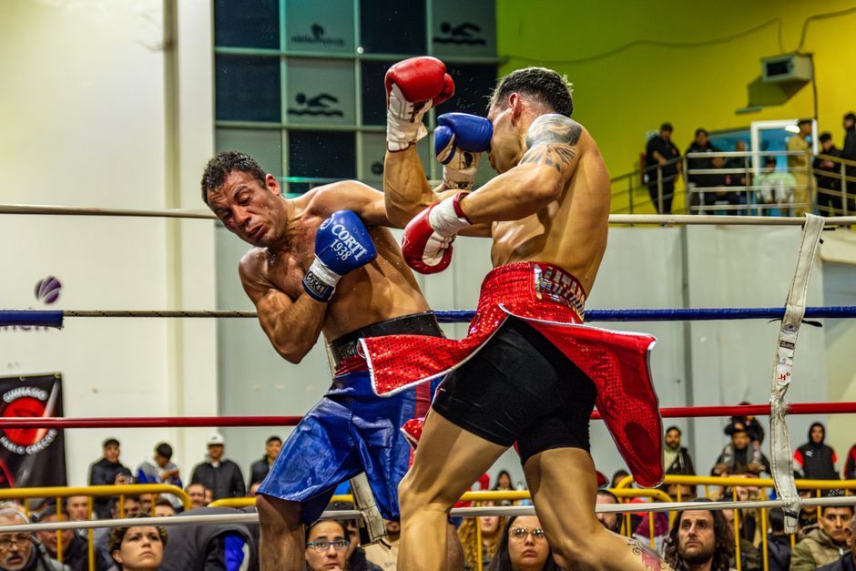 boxing ring stadium arena crowd