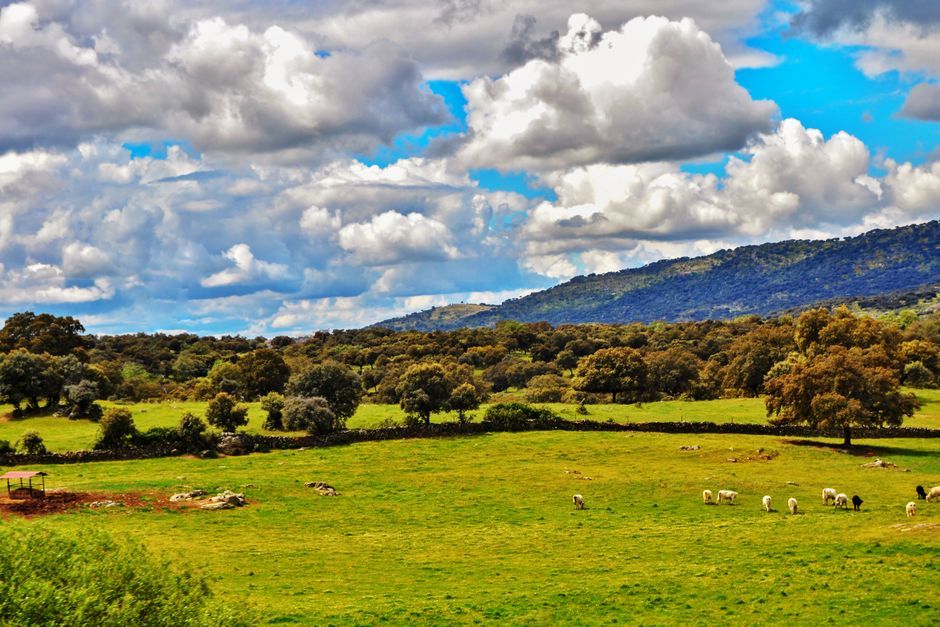 Spain agriculture landscape farm green fields