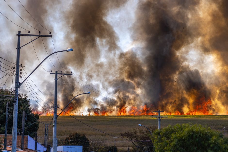 Indonesia tropical forest wildfire smoke disaster