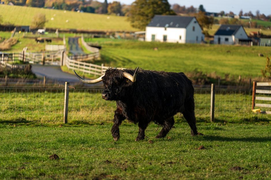 Scotland agricultural rural landscape farm