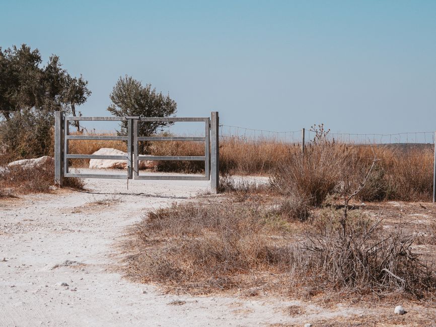 Israel kibbutz community landscape exterior