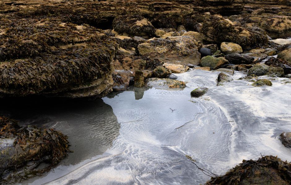 coastal beach seaweed Scottish Highlands