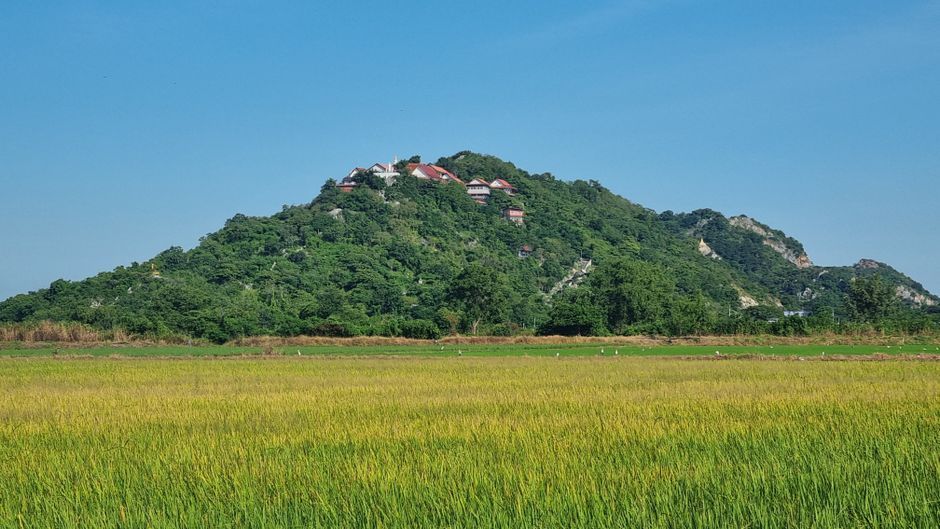 Thailand provincial rice field countryside nature