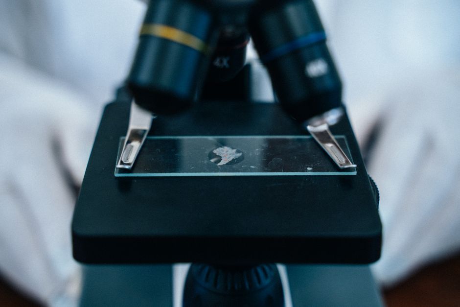 microscope slide biology lab science research China
