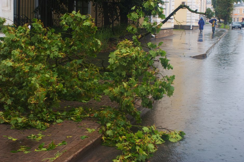 storm damage fallen tree street flooding USA