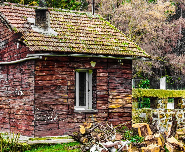 wooden cabin exterior forest