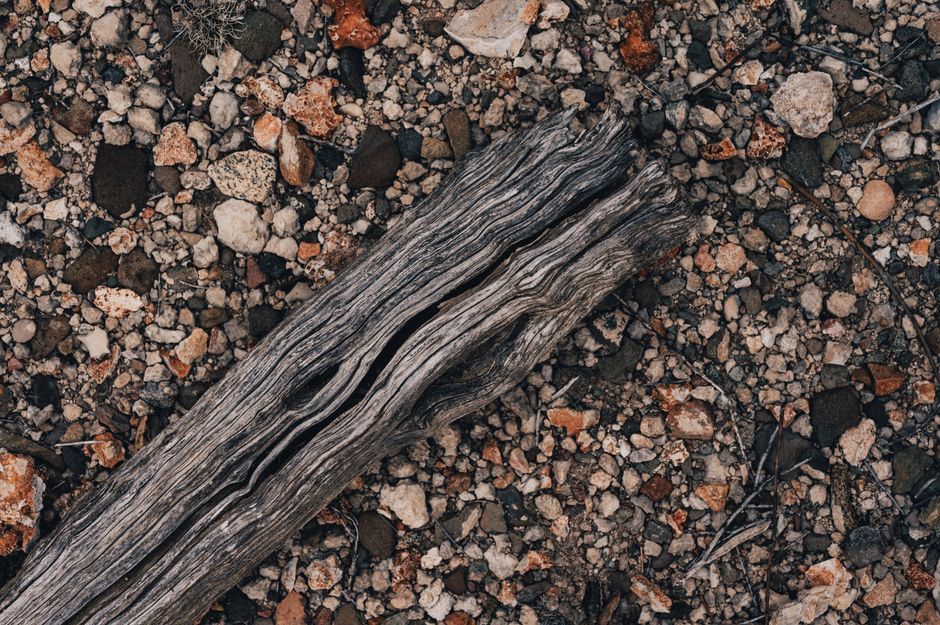 raw wood branch joint structure