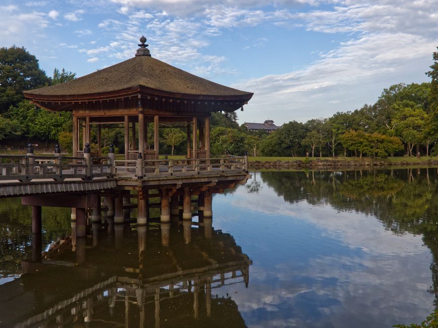 Japan modern wooden pavilion architecture structural design