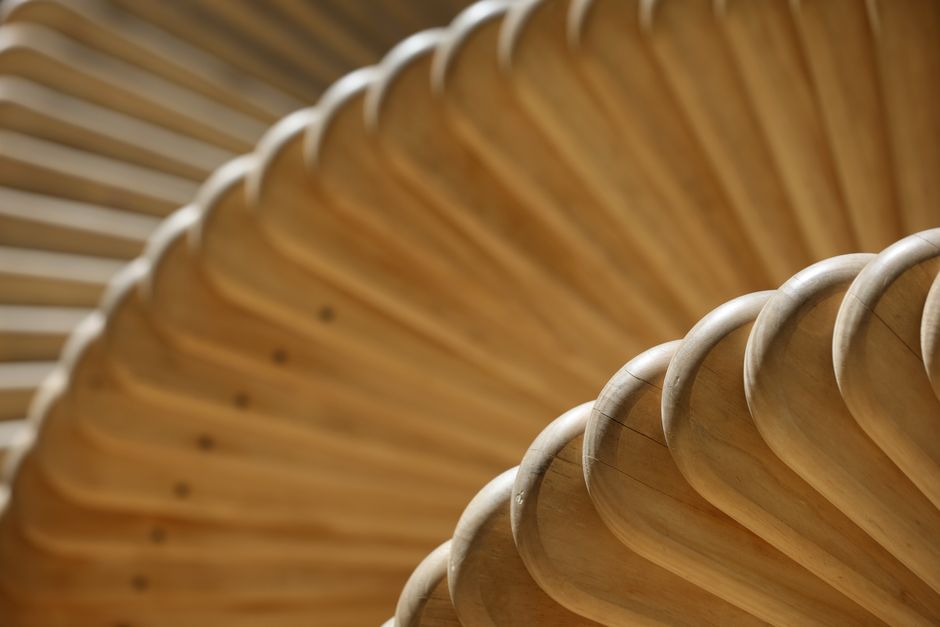 curved plywood timber structure detail