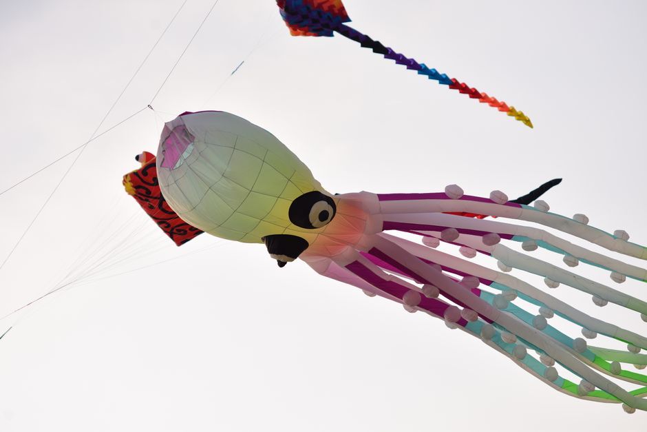giant kites floating in the sky Weifang