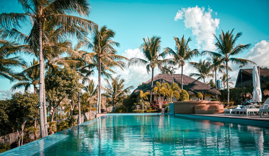 resort swimming pool palm trees tropical vacation