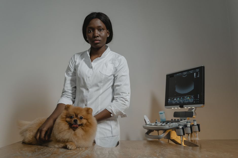 veterinary clinic pet care Thailand
