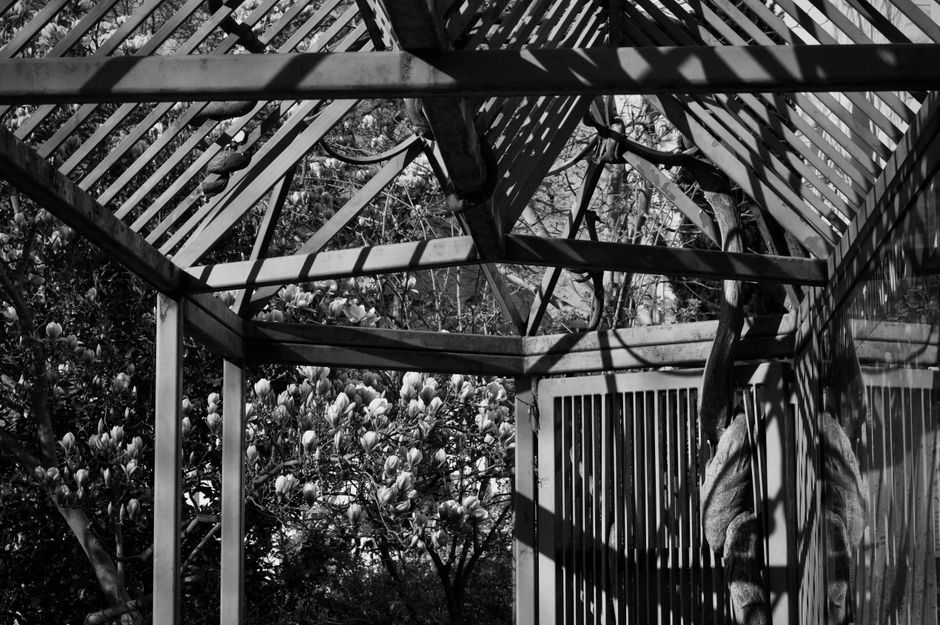 yellow aluminum frame greenhouse art installation UK
