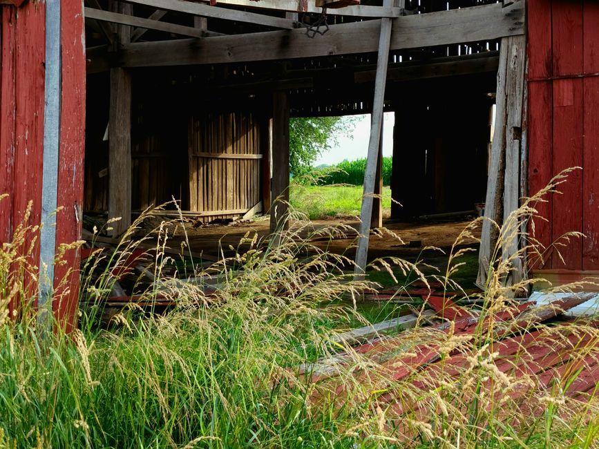 reclaimed wood barn beams architecture pavilion structure