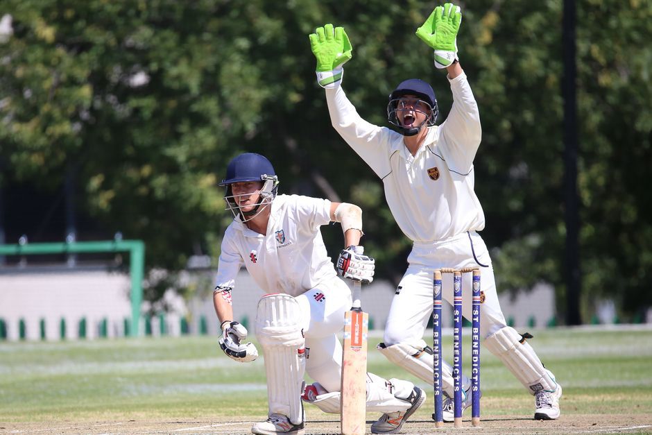 England professional women cricket team celebration