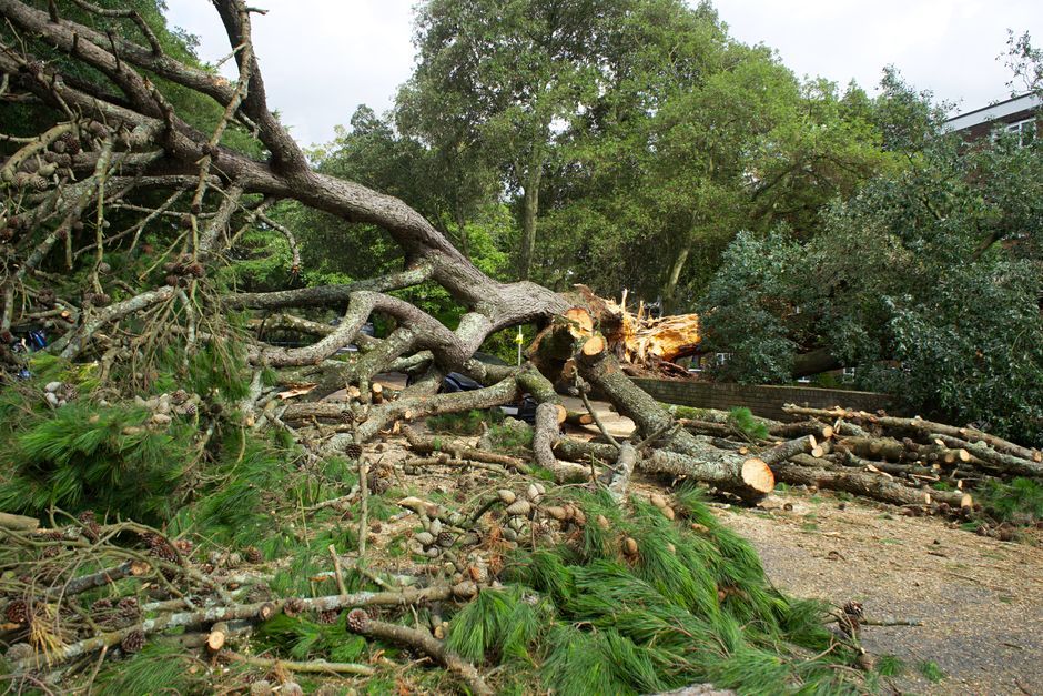 UK storm wind rain damage building
