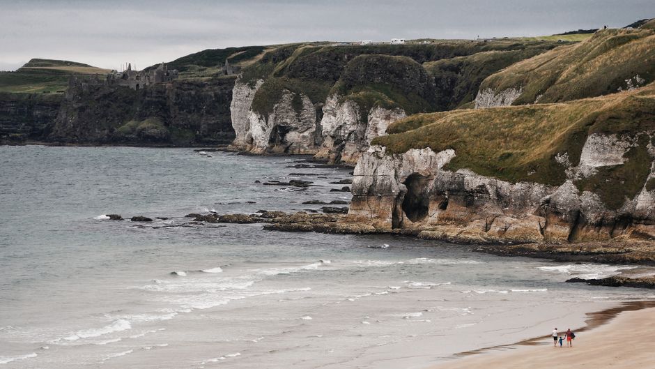 Northern Ireland coastal promenade landscape nature tree