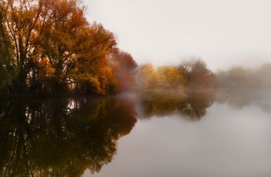 UK rural landscape autumn mist
