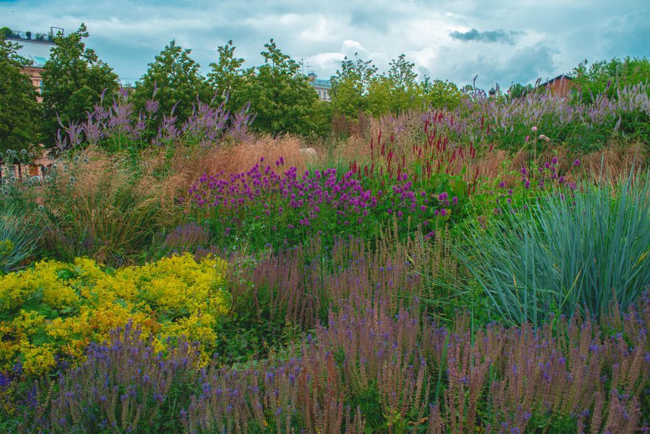 biodiverse urban garden ecological landscape architecture