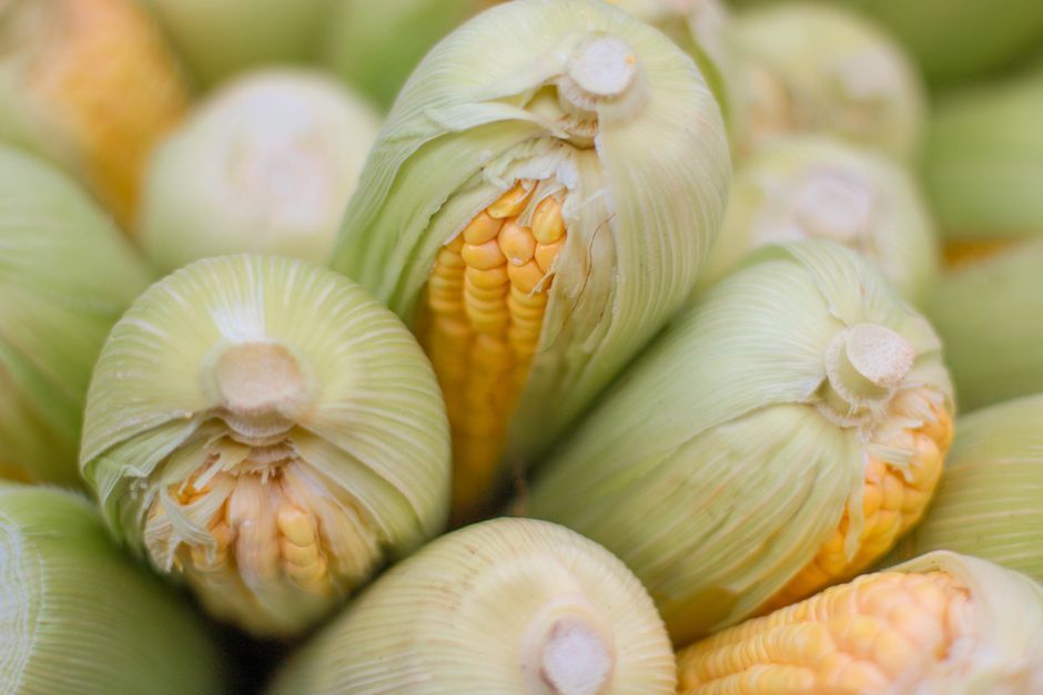 fresh corn cob husks Thailand market