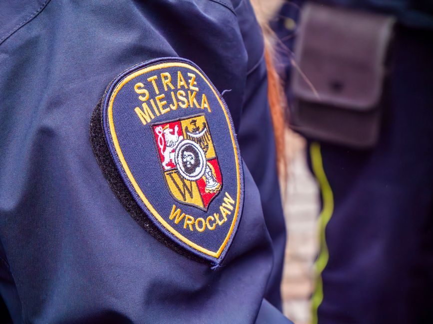 european police security badge building
